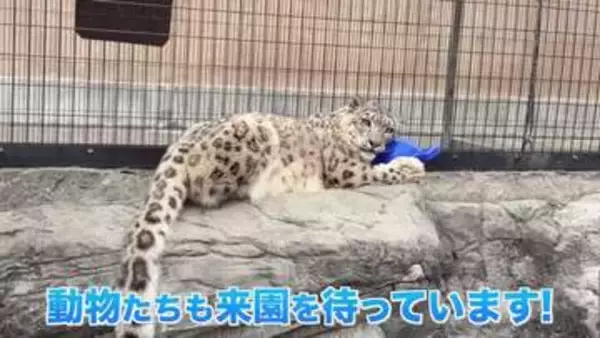 旭山動物園“開園延期”様々な業種に影響「GW後も尾を引いてしまうと思うので不安」大型連休直撃で地域経済に深刻な影響…再開への期待と不安〈北海道旭川市〉