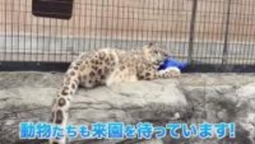 旭山動物園“開園延期”様々な業種に影響「GW後も尾を引いてしまうと思うので不安」大型連休直撃で地域経済に深刻な影響…再開への期待と不安〈北海道旭川市〉