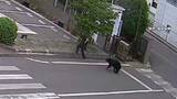 「4人襲撃し工場に居座ったクマ捕獲に至らず　現在も敷地内か　工場に引火性の物質あり実弾使用できず　24時間体制で警戒　福島市」の画像1