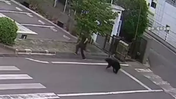 4人襲撃し工場に居座ったクマ捕獲に至らず　現在も敷地内か　工場に引火性の物質あり実弾使用できず　24時間体制で警戒　福島市
