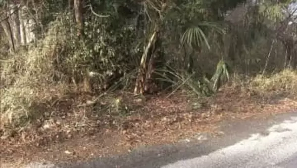 連続不審火か…防犯カメラに不審人物　18日の9件に続き雑木林と下草焼け今回も火の気なし　栃木・宇都宮