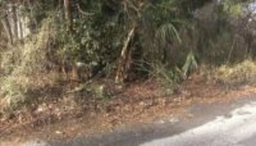 また不審火…雑木林と近くの下草焼ける　宇都宮市内では18日にも9件　防カメに不審人物　今回も火の気なし…一連と関連か