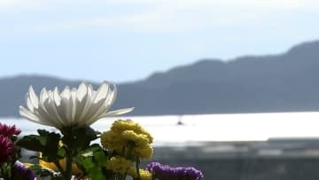 「何年たっても変わらない」「悲しみは死ぬまで消せない」それぞれの思いを胸に各地で祈り　東日本大震災から15年　未来への希望も