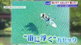 「“宙に浮く”カヤック＆110度の大自然サウナ　清流「仁淀ブルー」で極上体験を　心と体をととのえるデトックス旅」の画像1