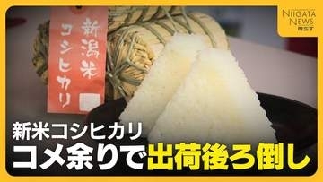 【新米コシ】品質良好も“コメ余り”で出荷後ろ倒しに「25年産がだいぶ過剰」　JAは新潟県へ“非主食用米への支援強化”要請「需要に応じた生産を」