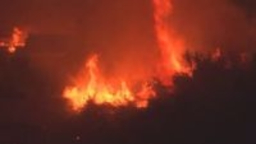 「心が折れそう…」平成以降最大の岩手・大船渡山林火災から10カ月　被災者の55世帯が未だ仮の住まい　森林所有者の4割が「復旧希望せず」の現実