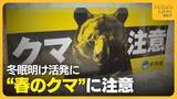 「山菜採りシーズン“クマ”との遭遇に注意を「クマも山菜食べに来る」 音を出す物の携帯や複数人での活動が重要に」の画像1