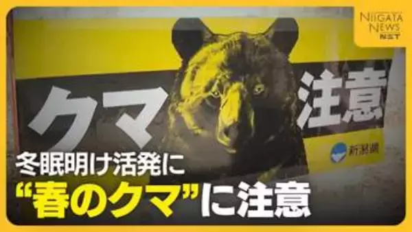 山菜採りシーズン“クマ”との遭遇に注意を「クマも山菜食べに来る」 音を出す物の携帯や複数人での活動が重要に