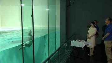 愛子さま　ラッコの「イカミミジャンプ」に笑顔　鳥羽水族館でラッコやジュゴンを見学「癒やされました」