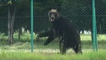 【札幌・東区クマ襲撃から5年】“全身140針”の重傷を負った男性「市街地での人身被害は『自然災害』行政が支援策を考えるべき」約140年前の”丘珠事件”以来_東区での人身被害で対策は進んだのか？＜北海道＞