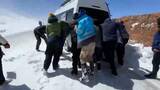 「南米ボリビアに大雪　ラマや羊16万頭以上が放牧地に取り残される　タイでは豪雨で洪水被害」の画像1