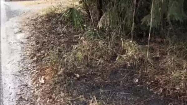 宇都宮でまた不審火…雑木林と約200m離れた下草が焼ける　18日にも9件の不審火相次ぐ