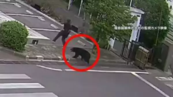 「従業員が襲われた」福島でクマが襲撃4人搬送　工場に侵入し居座り　箱わなやドローンで捕獲作戦　秋田の73歳女性死亡も被害か