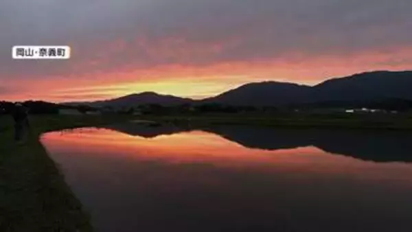 「後世に残したい景色」田植え前後の風が穏やかな日限定…夕焼けと山々が水鏡に映る幻想的な風景　岡山・奈義町