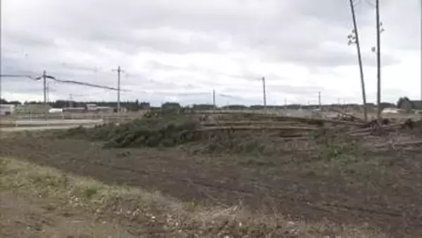 北日本で台風並み暴風　青森・七戸町で倒木相次ぎ一部地域で一時停電が発生　けが人なし