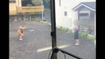 「庭先に入って写真撮影」富士山と五重塔で絶景スポット…観光客殺到で迷惑行為が急増　10年目「桜まつり」も中止決定　山梨・富士吉田市