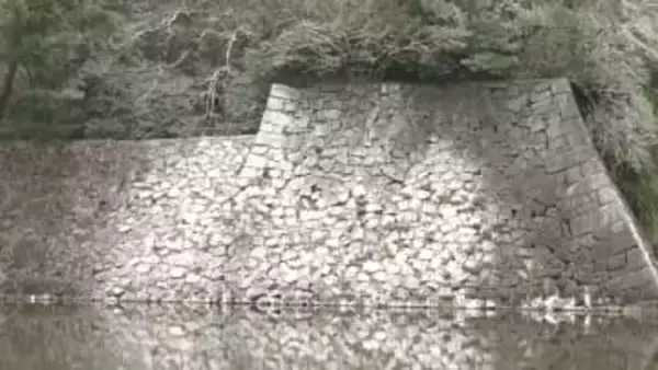 名古屋城の石垣や木々が“真っ白”に　犯人は「カワウ」お堀のボラ狙った大群が落とす大量のフン　貴重な文化財の石垣は洗浄困難