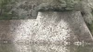 名古屋城の石垣や木々が“真っ白”に　犯人は「カワウ」お堀のボラ狙った大群が落とす大量のフン　貴重な文化財の石垣は洗浄困難