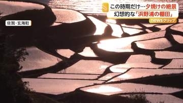 この時期だけ！圧巻の絶景　棚田が夕日に染まる「浜野浦の棚田」　早朝2時間が一番美しい「逆さ那岐連峰」　佐賀・岡山