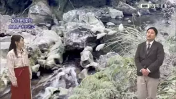 山火事を防ぐ新ルール！新たに導入された「林野火災警報・注意報」の基準や火の使用制限、違反時の罰則について気象予報士が解説