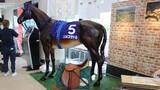 「札幌競馬場で「馬具展示＆鞍づくり」　武豊騎手オリジナルモデルを2年かけて開発「普段フォーカスされることがない馬具や鞍を知っていただきたい」」の画像1