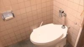 公園でトイレの水流す“フラッシュバルブ”10万円相当盗んだか　元配管工の男を逮捕「80回ほど盗み繰り返した」埼玉・草加市