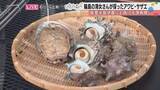 「彦摩呂さんが「海女さん、ありがとう」―能登半島地震・豪雨を乗り越えた輪島の海女が採る極上サザエとアワビ、しゃもじで剥いてかぶりついたその味」の画像1