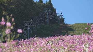 今冬は「スーパーエルニーニョ」で暖冬の可能性　スキー場、寒ブリ、立山の雪まで、富山への影響を総点検