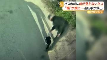 頭に缶がはまり前が見えないネコをバス運転手が救出　トルコ　迷子のロバ2頭を発見…かわいさに思わず警察官も絶叫　アメリカ
