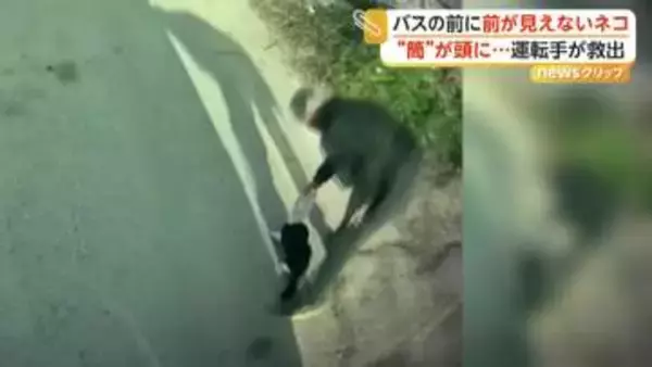 頭に缶がはまり前が見えないネコをバス運転手が救出　トルコ　迷子のロバ2頭を発見…かわいさに思わず警察官も絶叫　アメリカ
