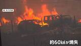 「山火事拡大で9万人に避難呼びかけ　約60平方キロメートル焼失　人為的な原因の可能性も　アメリカ」の画像1
