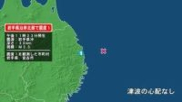 岩手県で最大震度1の地震　岩手県・宮古市
