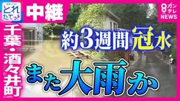 【中継】台風25号で“約3週間”冠水続いた千葉・酒々井町にまた大雨の恐れ　“盛り土”の崩落で排水機能が崩壊　“根本原因”解決しないまま排水ポンプ車で大雨警戒　台風30号から変化の温帯低気圧と前線の影響で関東～四国で警報級の大雨恐れ