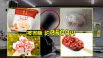 「練乳あるやん」無人販売店スイーツドロボーの一部始終　男女2人組がアイスなど次々保冷バッグに…会計せず店外へ　岐阜・大垣市