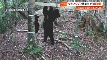 四国で「ツキノワグマ」絶滅危機　最新調査で25頭を確認　すみ分けによる「共存」の道は