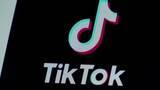 「TikTokが「オラクル」など出資の合弁会社へのアメリカ事業切り離しを発表　国家安全保障などの安全対策について説明」の画像1