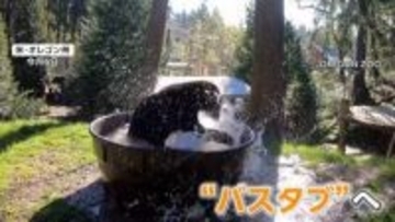 動物園で冬眠明けのクマが“初水浴び”　母親失い保護の2頭　SNSで9万回表示　アメリカ