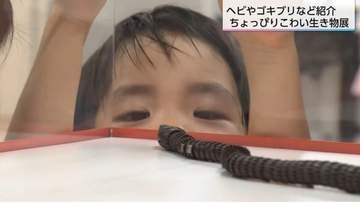 ヘビやゴキブリ、ゲジゲジを「大好き」になる！？「ちょっぴりこわい生き物展」で学ぶ自然の生態系に欠かせない生き物たちの役割