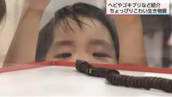 ヘビやゴキブリ、ゲジゲジを「大好き」になる！？「ちょっぴりこわい生き物展」で学ぶ自然の生態系に欠かせない生き物たちの役割