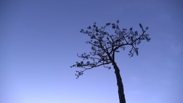 いまだに2519人が不明　海岸では日の出に合わせ祈り　福島第一原発廃炉への道は不透明　東日本大震災からきょうで15年