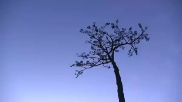 いまだに2519人が不明　海岸では日の出に合わせ祈り　福島第一原発廃炉への道は不透明　東日本大震災からきょうで15年