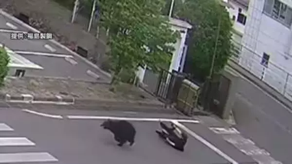 「クマが逃げております」男女4人襲った“居座り熊”　工場敷地から逃走　近隣の小・中学校は臨時休校　福島市