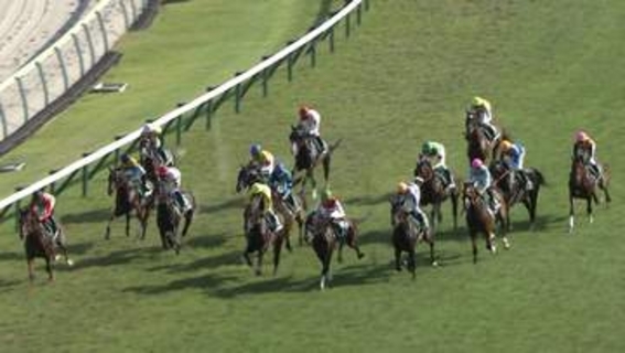 【夏の福島名物レース 七夕賞・G3】歴代最多5勝目へ！“夏の福島”で輝き続ける名手・戸崎圭太騎手に注目