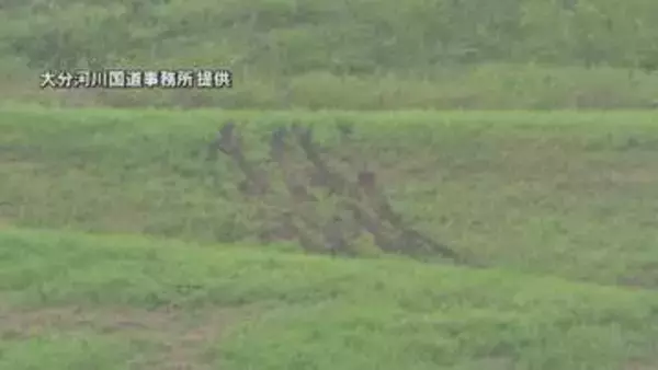 堤防を車で複数回走行か　芝はがされる被害　河川法違反の可能性も　国交省「命を守る大切な堤防傷つけないで」大分発