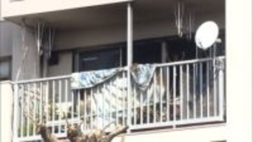 集合住宅の火事で80代男性死亡…1人暮らしの住人か　隣の部屋や廊下など延焼　住人3人がけが　東京・調布市