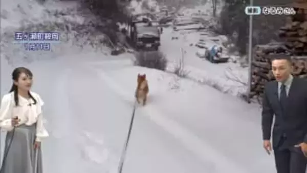 宮崎県内でも積雪に警戒を。ノーマルタイヤでの雪道走行は道路交通法違反で反則金が科される可能性も？気象予報士が解説する冬の安全運転の知識