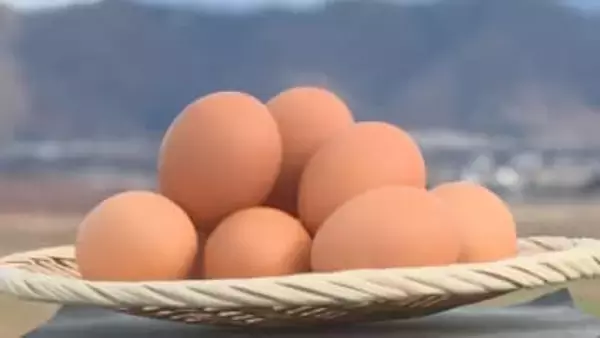 濃厚な味わい求め開店前から行列　「大寒」に産まれる縁起物「大寒たまご」　長野・安曇野では祈祷済み「限定バウムクーヘン」も登場　冬ならではの“タマゴの旬”に注目