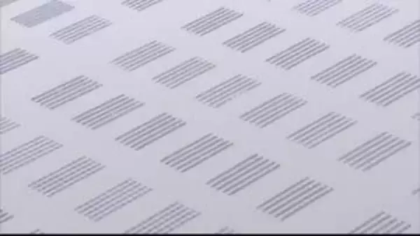 「雨が降らないのが一番の原因」有明海の養殖ノリ4分の1が色落ち 晴れ続きで植物プランクトン活発化 赤潮も発生