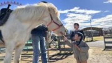 2026年は「午（うま）年」!　馬と触れあえる富山県魚津市の名所「ふれあい牧場フロンティア」で初心者から楽しめる乗馬やエサやり体験