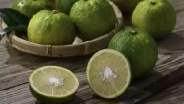 花粉症対策に注目の「じゃばら」って？皮に期待の成分「ナリルチン」がたっぷり！野菜ソムリエおすすめの食べ方